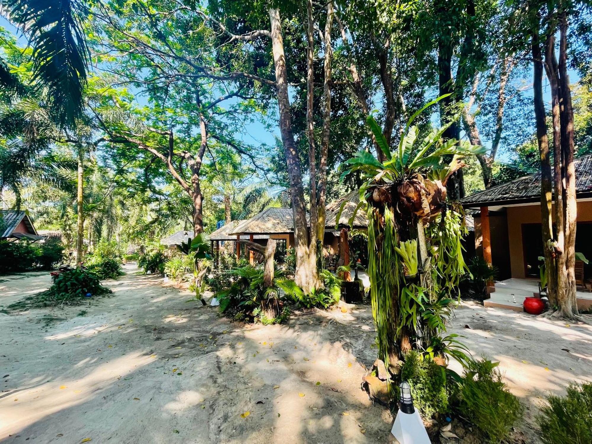 Sunny Cove Beach Resort Koh Phayam Ρανόνγκ Εξωτερικό φωτογραφία